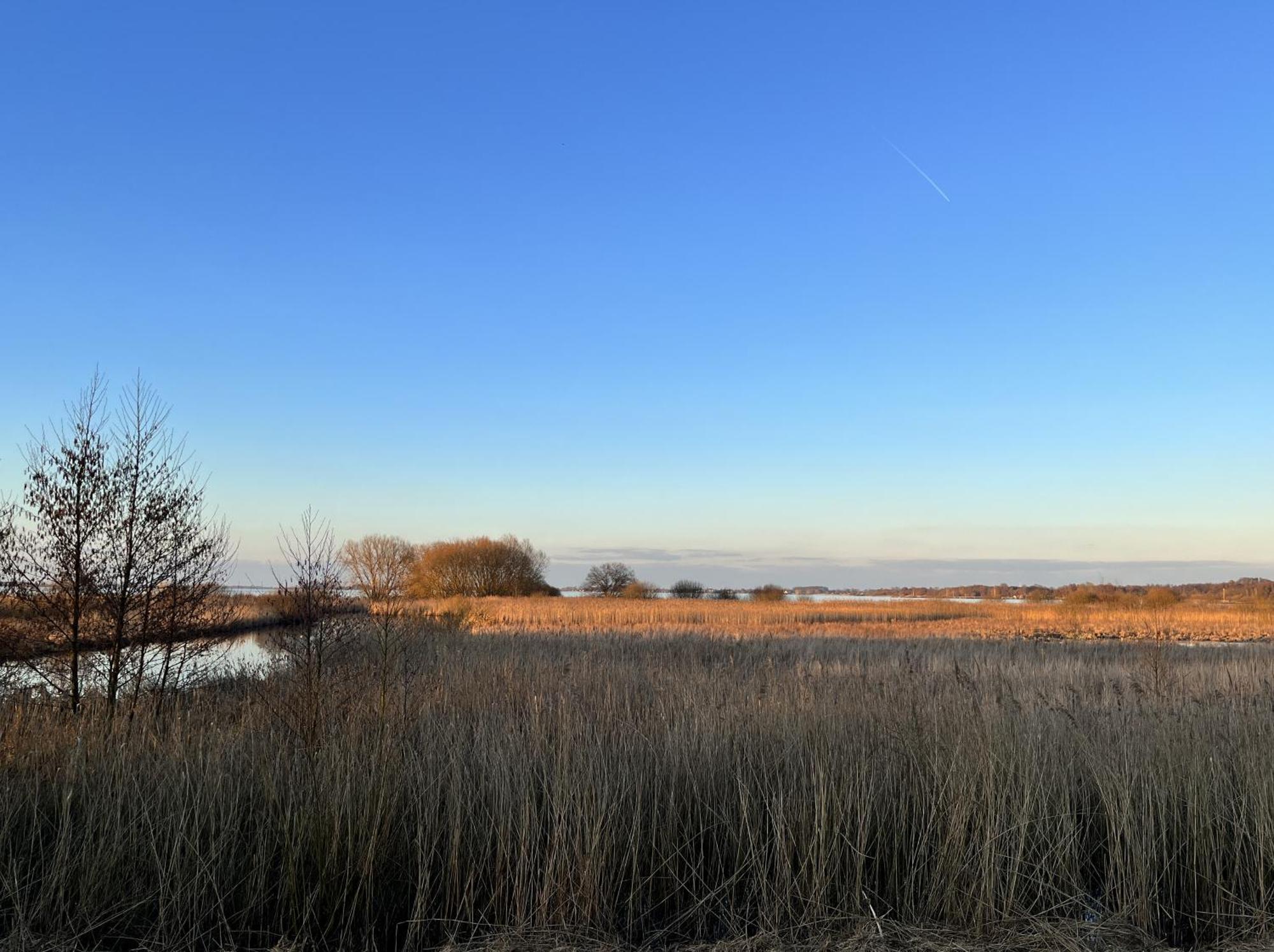 Hueder Hof Am Duemmer Seeアパートホテル 部屋 写真