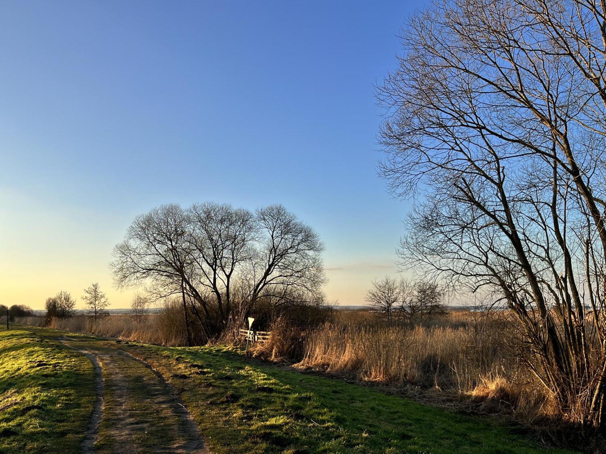 Hueder Hof Am Duemmer Seeアパートホテル エクステリア 写真